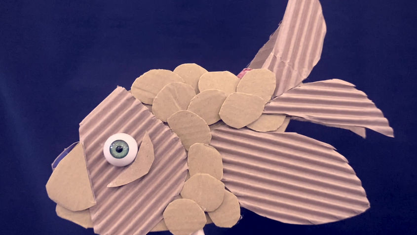 Fish